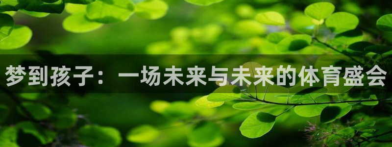 风速体育官方下载安装：梦到孩子：一场未来与未来的体育盛会