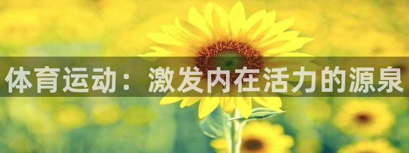 安徽风速体育科技有限公司：体育运动：激发内在活力的源泉