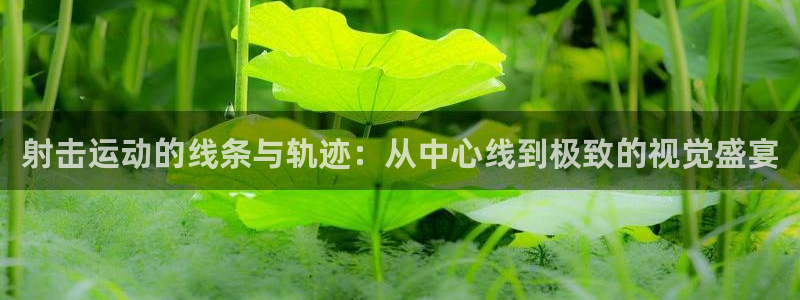 风速体育nba录像：射击运动的线条与轨迹：从中心线到极致的视觉盛宴