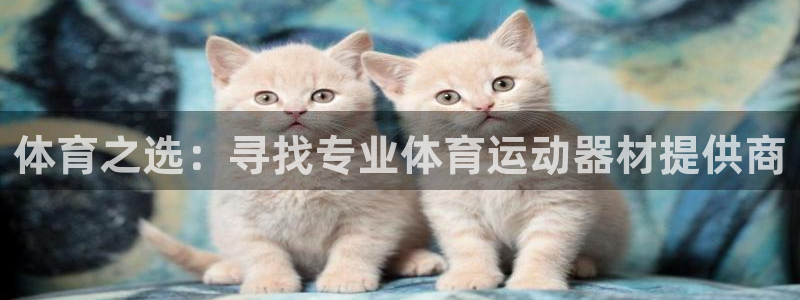 风速体育nba录像：体育之选：寻找专业体育运动器材提供商