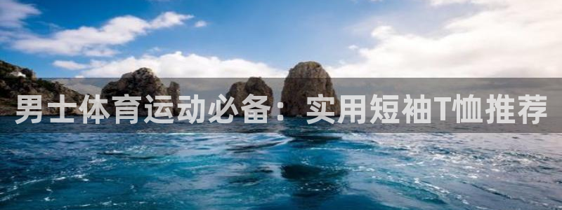 风速体育如何下载：男士体育运动必备：实用短袖T恤推荐