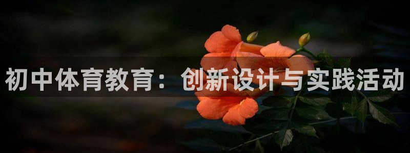 风速体育下载：初中体育教育：创新设计与实践活动