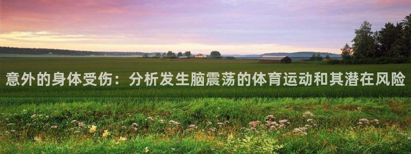 风速体育老板是谁：意外的身体受伤：分析发生脑震荡的体育运动和其潜在风险