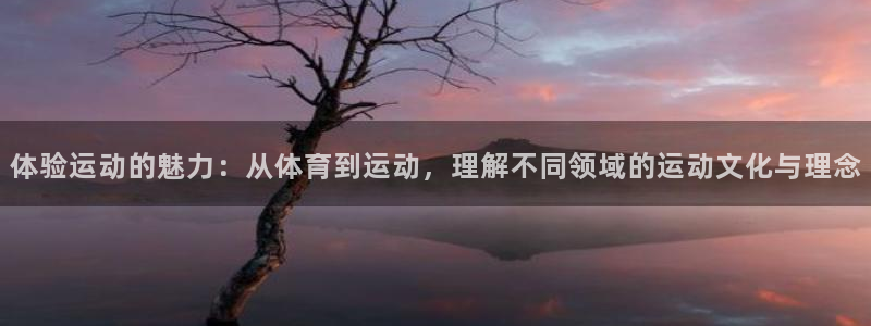 风速体育app下载：体验运动的魅力：从体育到运动，理解不同领域的运动文化与理念