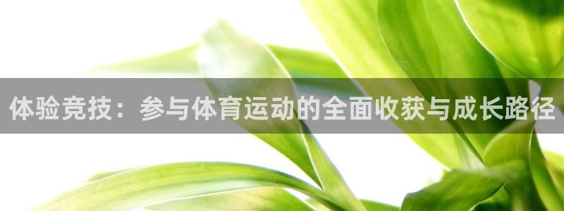 风速体育nba录像：体验竞技：参与体育运动的全面收获与成长路径