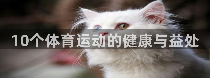 风速体育手机直播：10个体育运动的健康与益处